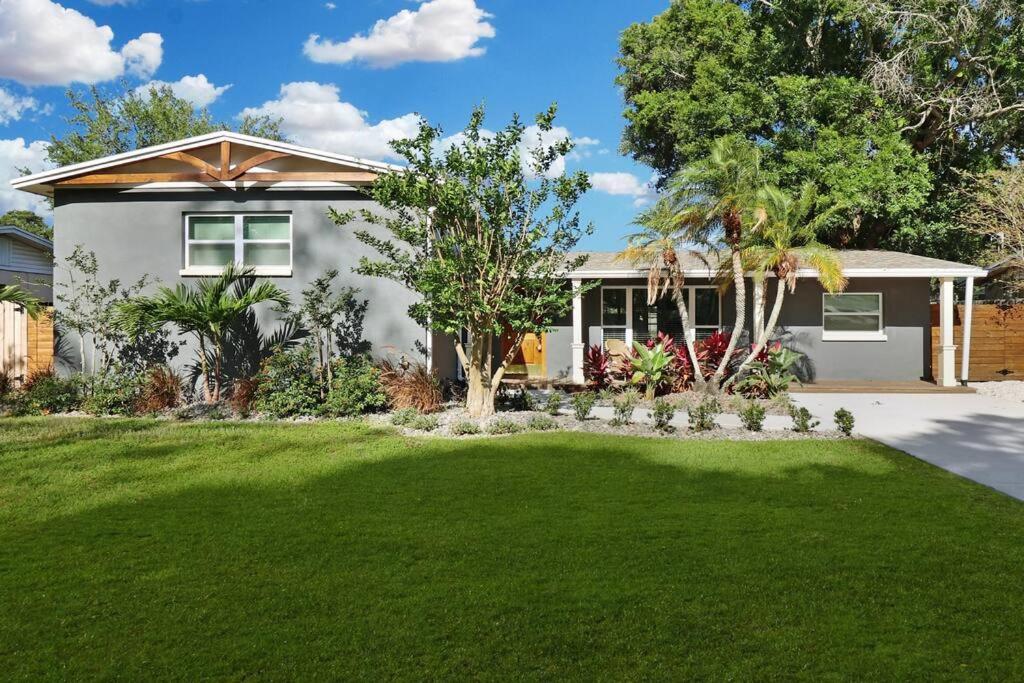 Palm Tree Paradise Tampa Pool Home Exteriér fotografie