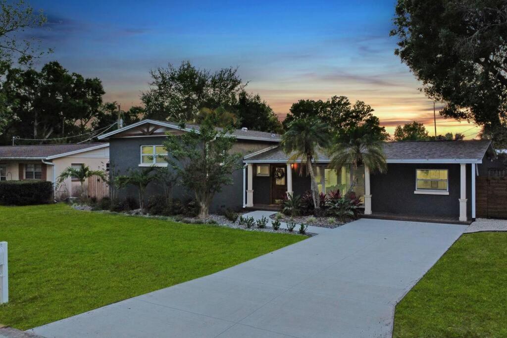 Palm Tree Paradise Tampa Pool Home Exteriér fotografie