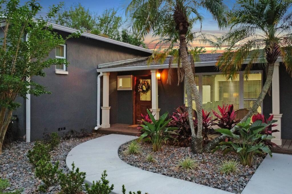 Palm Tree Paradise Tampa Pool Home Exteriér fotografie