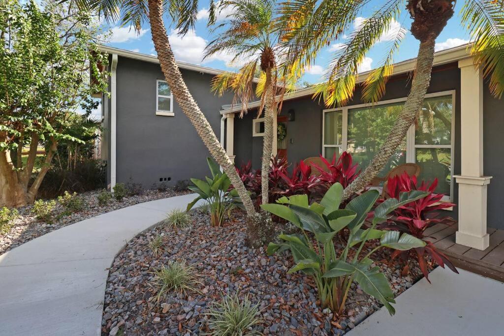 Palm Tree Paradise Tampa Pool Home Exteriér fotografie